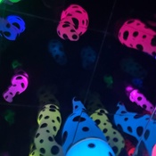 Photo submitted by Marcello