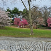 Photo submitted by Laura