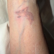 Photo submitted by Leigh