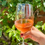 Photo submitted by Laura