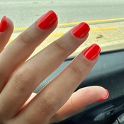 Photo submitted by Guest