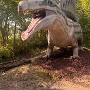 Photo submitted by Tomminesha