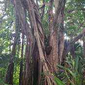 Photo submitted by Vicki