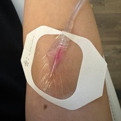 Photo submitted by Trang