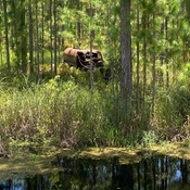 Photo submitted by Linda