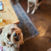 Photo submitted by Laura