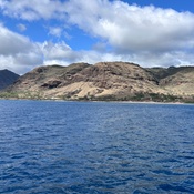 Photo submitted by Leah