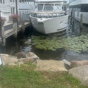 Photo submitted by George