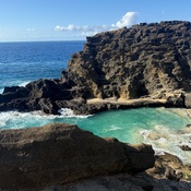 Photo submitted by Tami