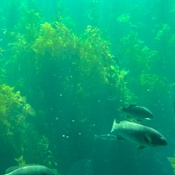 Photo submitted by Danise