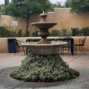 Photo submitted by Francisco