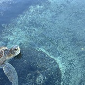 Photo submitted by Dawn