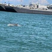 Photo submitted by Jen