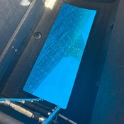 Photo submitted by Karen