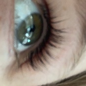 Photo submitted by Guest