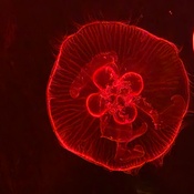 Photo submitted by Crystal