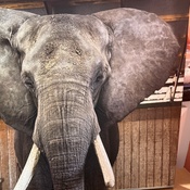 Photo submitted by Nadine