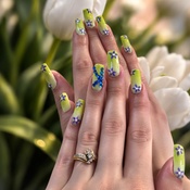 Photo submitted by Guest