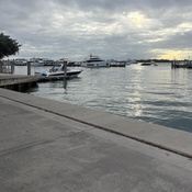 Photo submitted by Saihaan