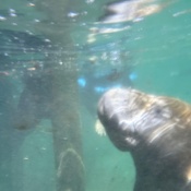 Photo submitted by Christine