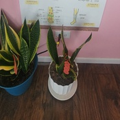 Photo submitted by Marcus