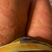 Photo submitted by Whit