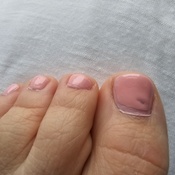 Photo submitted by Sarah