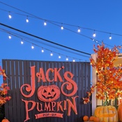 Photo submitted by Sidney