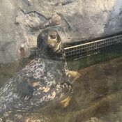 Photo submitted by Guest