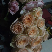 Photo submitted by nicole