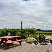 Photo submitted by Katelyn