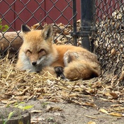 Photo submitted by Heather