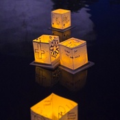 Photo submitted by Nikki