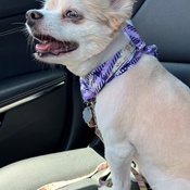 Photo submitted by Daisy