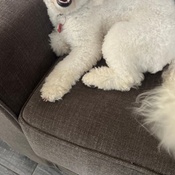 Photo submitted by Jasmine