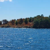 Photo submitted by M