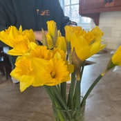 Photo submitted by Guest