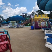 Photo submitted by AnnaLisaMW