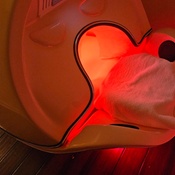 Photo submitted by Maronda