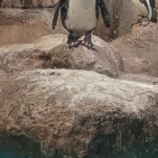 Photo submitted by MARYANNE