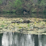 Photo submitted by Louise