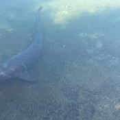 Photo submitted by Dawn