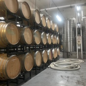 Photo submitted by Kelly