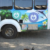 Photo submitted by Geneva