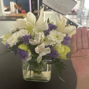 Photo submitted by Todd