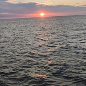 Photo submitted by Mer