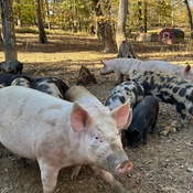 Photo submitted by Estela