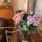 Photo submitted by Patricia