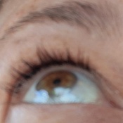 Photo submitted by Amy