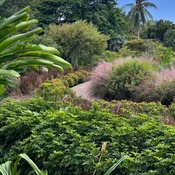 Photo submitted by Darleen